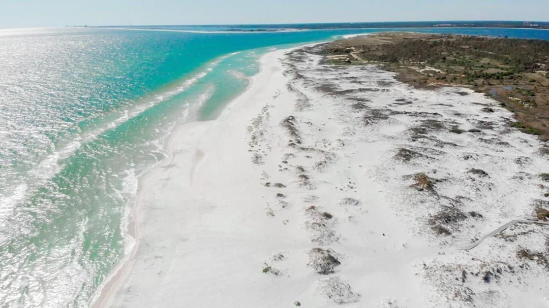 Quiet Relaxing Home - Close To Downtown & Beach 4Br-2Bt Pensacola Dış mekan fotoğraf